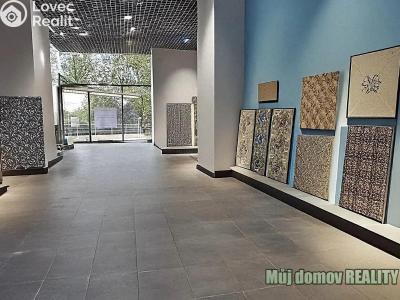 Pronájem obchodního prostoru Praha, V olšinách č. 5