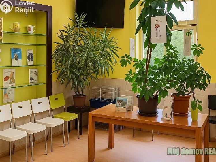 Pronájem obchodního prostoru Praha, náměstí Dr. Václava Holého č. 4