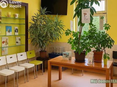 Pronájem obchodního prostoru Praha, náměstí Dr. Václava Holého č. 4