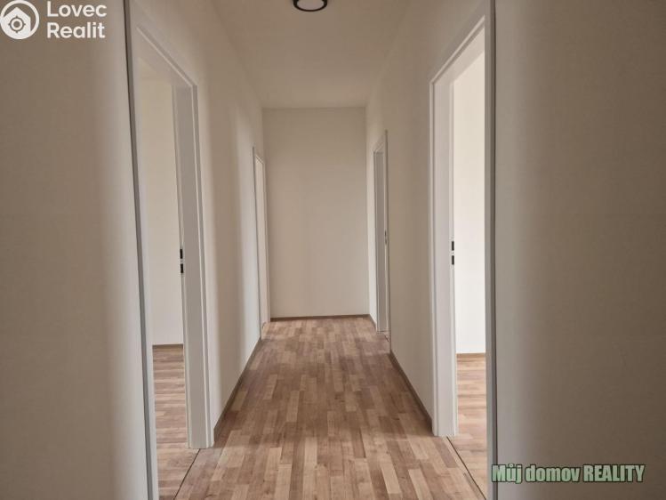 Pronájem ubytovacího zařízení Praha, Přátelství č. 2