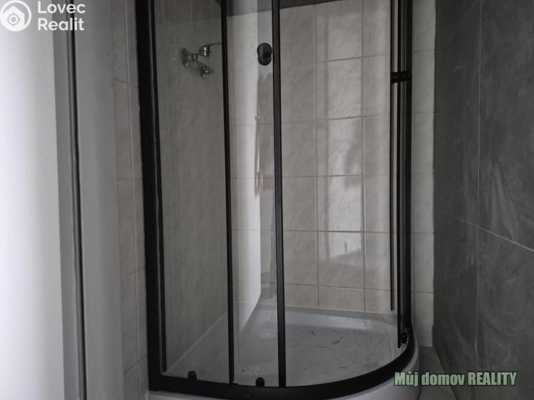 Pronájem ubytovacího zařízení Praha, Přátelství č. 13