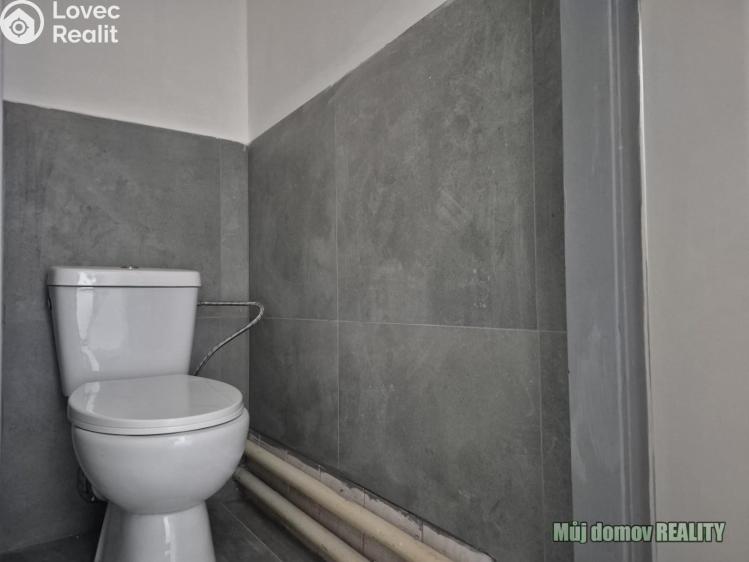 Pronájem ubytovacího zařízení Praha, Přátelství č. 22