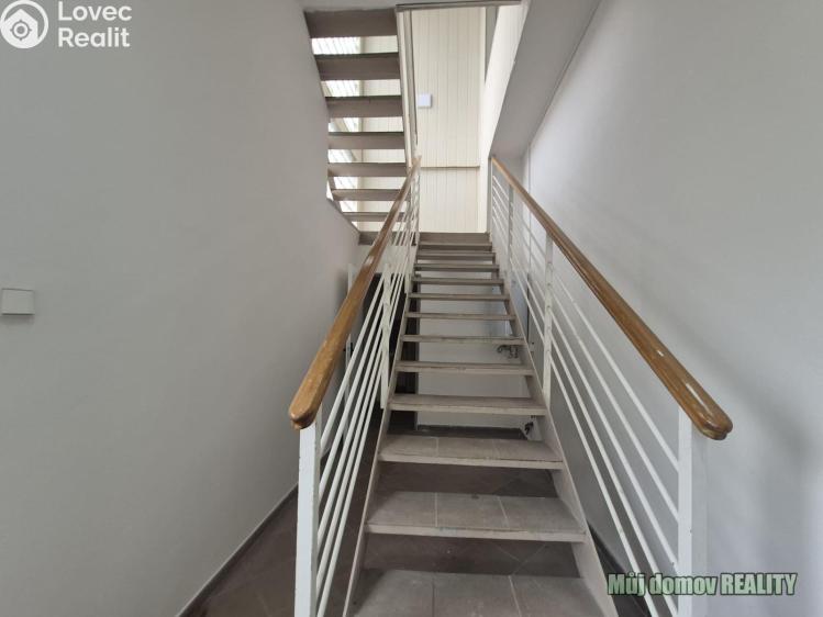 Pronájem ubytovacího zařízení Praha, Přátelství č. 24