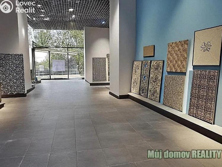 Pronájem obchodního prostoru Praha, V olšinách č. 3