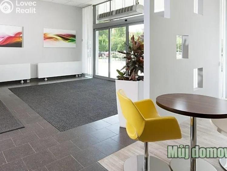 Pronájem obchodního prostoru Praha, V olšinách č. 4