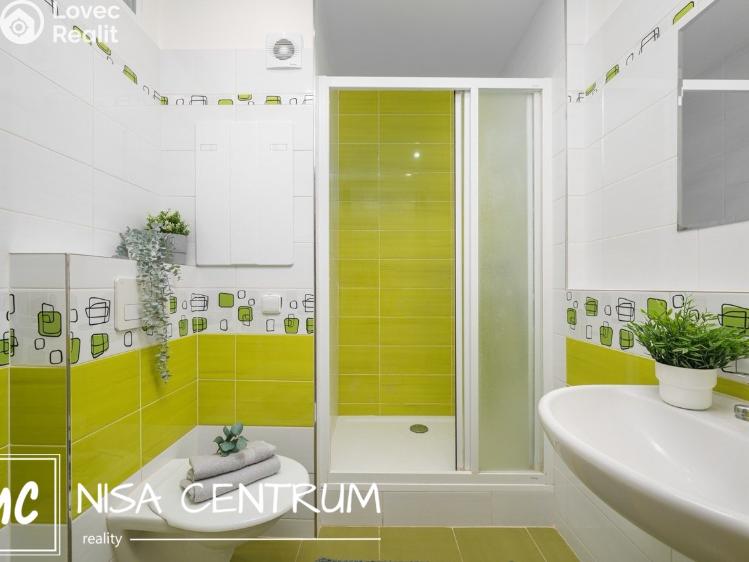 Pronájem bytu 1+1 Liberec, Vnitřní 1415 č. 3