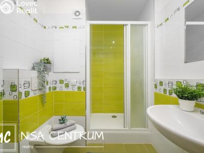 Pronájem bytu 1+1 Liberec, Vnitřní 1415 č. 3