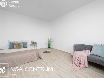 Pronájem bytu 1+1 Liberec, Vnitřní 1415 č. 5