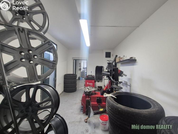 Pronájem výrobní haly Praha, Čiklova č. 6