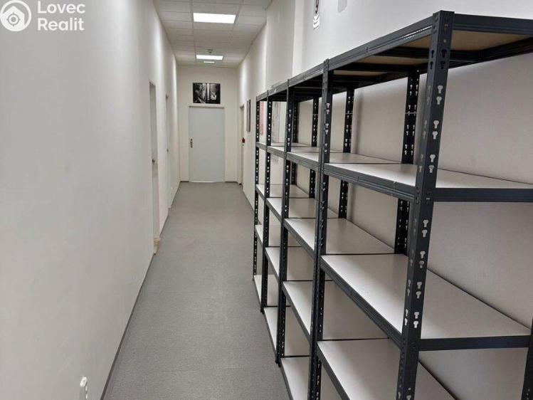 Pronájem obchodního prostoru Praha, Dobronická č. 7