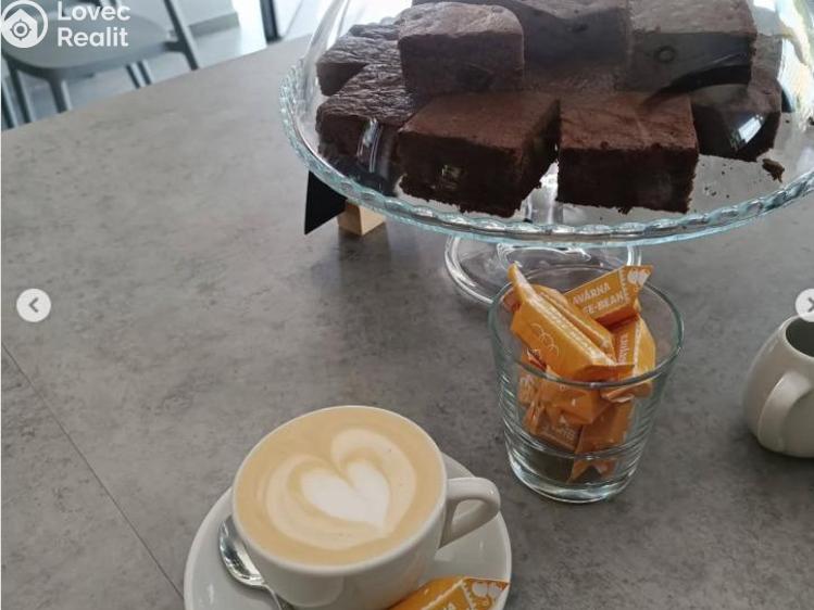 Pronájem restaurace Praha č. 11