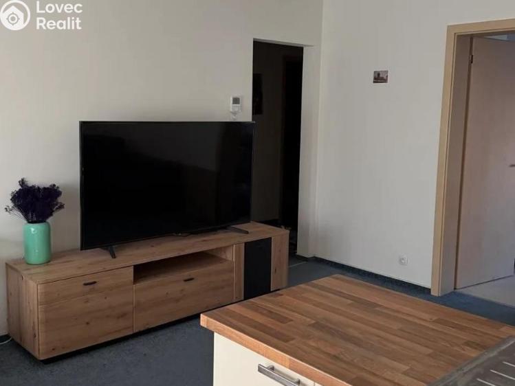 Pronájem bytu 3+KK Praha, Nepomuckých 755/22 č. 8