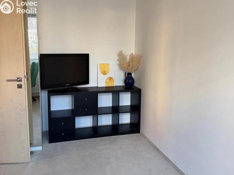 Pronájem bytu 3+KK Praha, Nepomuckých 755/22 č. 12