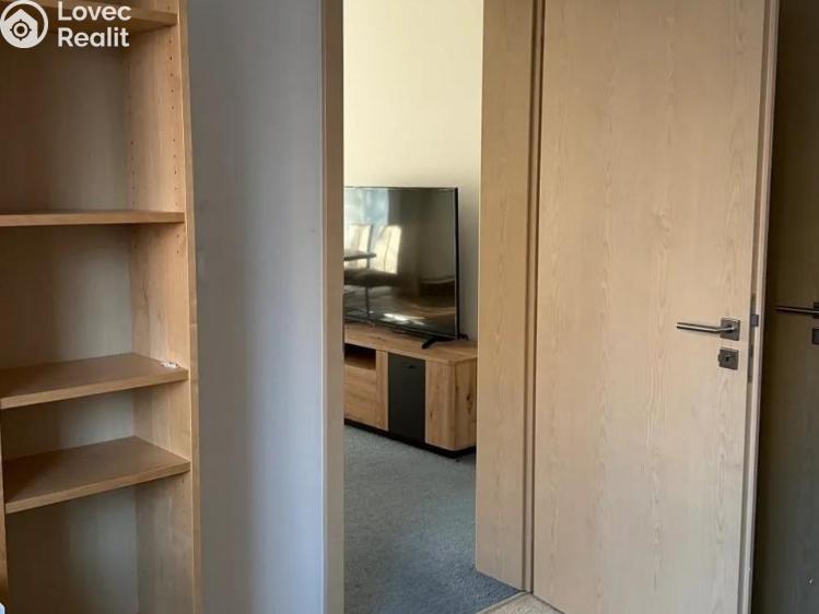 Pronájem bytu 3+KK Praha, Nepomuckých 755/22 č. 13