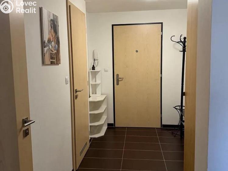 Pronájem bytu 3+KK Praha, Nepomuckých 755/22 č. 14