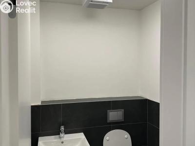 Pronájem obchodního prostoru Praha, Hartigova č. 6