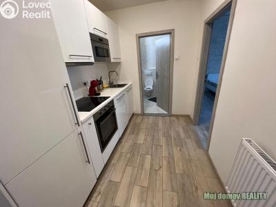 Аренда квартиры 1+KK Praha, Krakovská č. 1