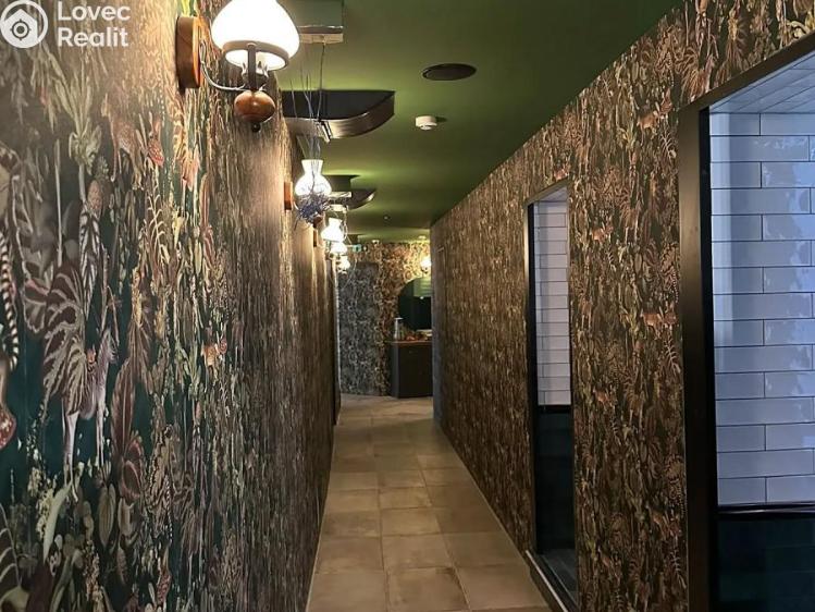 Pronájem restaurace Praha, Ječná č. 7