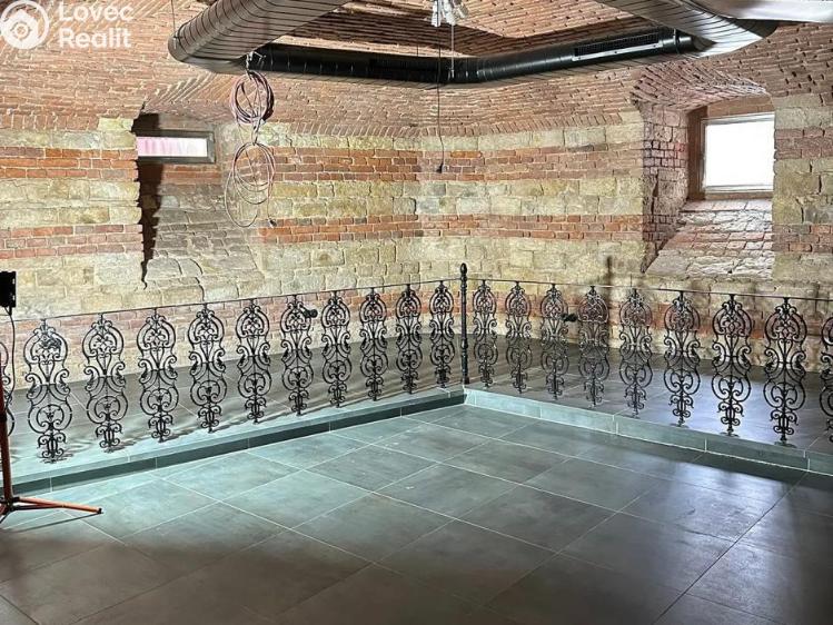 Pronájem restaurace Praha, Ječná č. 11