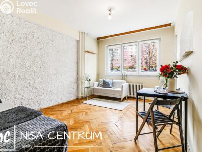 Sale apartment 1+1 Liberec, U Potůčku č. 5