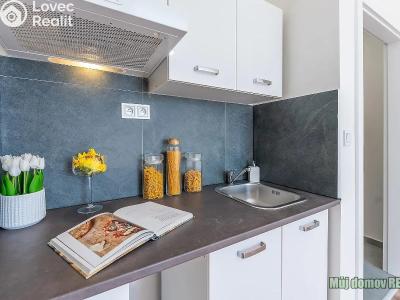 Аренда квартиры 1+KK Praha, Na břevnovské pláni č. 2