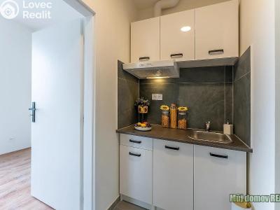 Аренда квартиры 2+1 Praha, Na břevnovské pláni č. 2