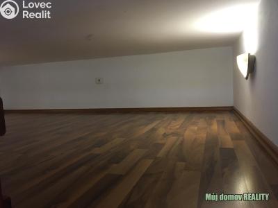 Аренда квартиры 1+KK Praha, Freyova č. 4