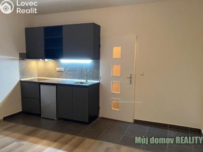 Аренда квартиры 1+KK Praha, Freyova č. 1