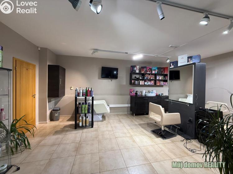 Pronájem komerční nemovitosti Praha, Devonská č. 2