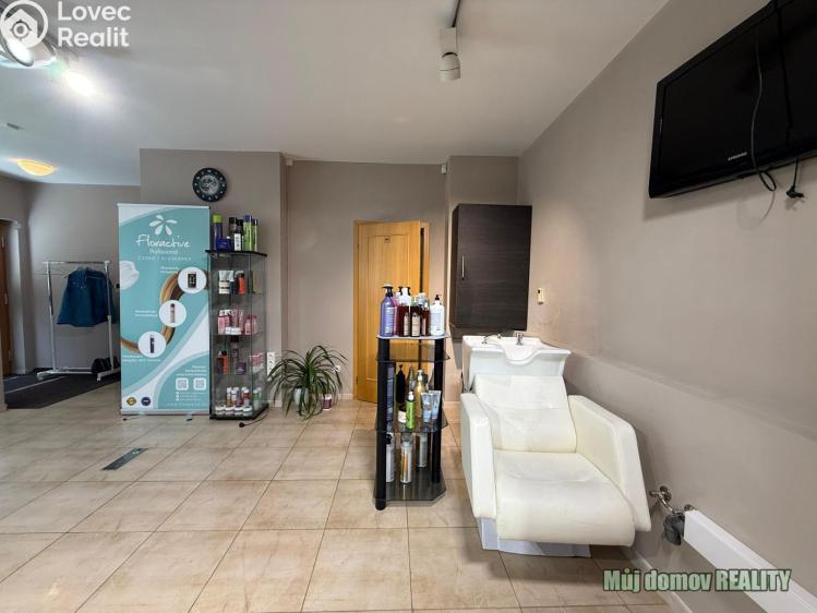 Pronájem komerční nemovitosti Praha, Devonská č. 3