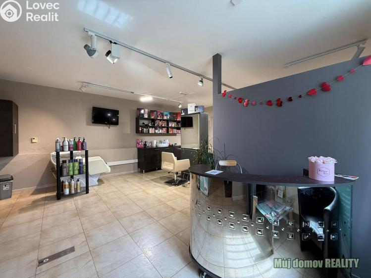 Pronájem komerční nemovitosti Praha, Devonská č. 5