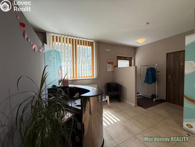 Pronájem komerční nemovitosti Praha, Devonská č. 6