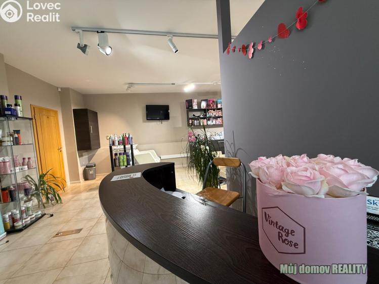 Pronájem komerční nemovitosti Praha, Devonská č. 7