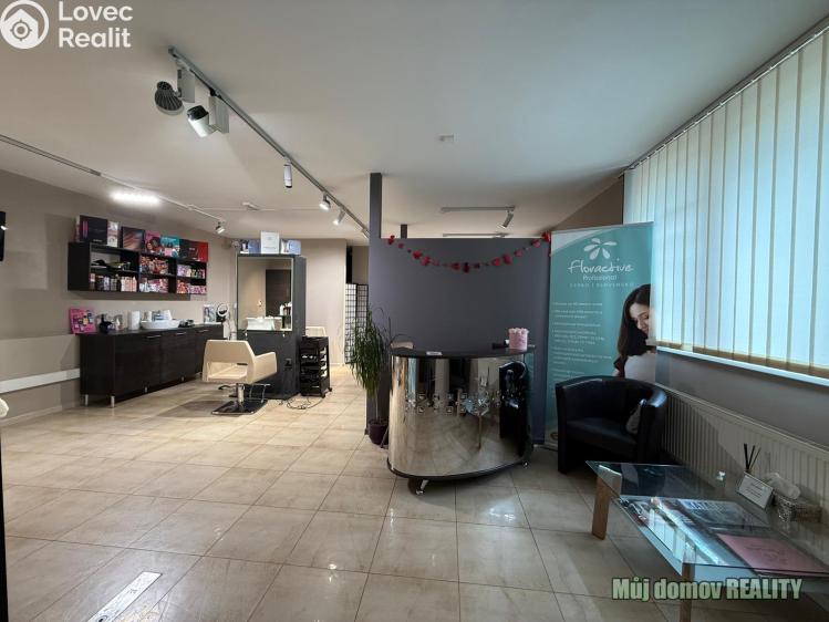 Pronájem komerční nemovitosti Praha, Devonská č. 8