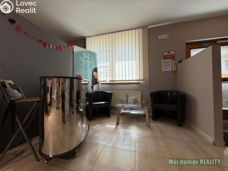 Pronájem komerční nemovitosti Praha, Devonská č. 9