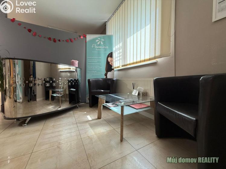 Pronájem komerční nemovitosti Praha, Devonská č. 10