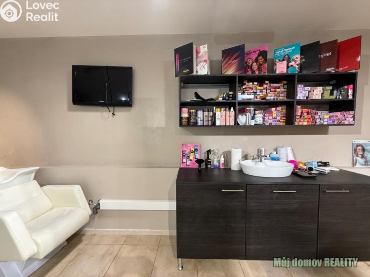 Pronájem komerční nemovitosti Praha, Devonská č. 11