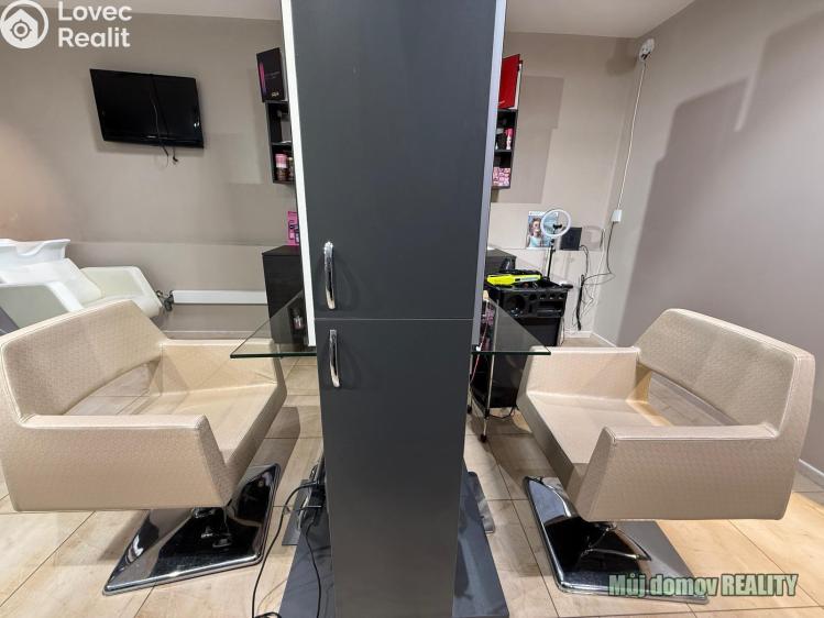 Pronájem komerční nemovitosti Praha, Devonská č. 12