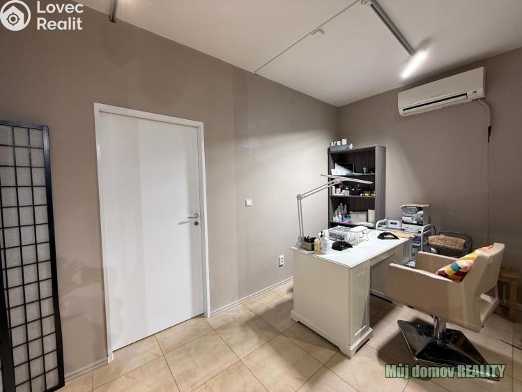 Pronájem komerční nemovitosti Praha, Devonská č. 13