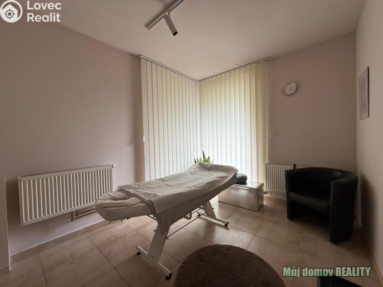 Pronájem komerční nemovitosti Praha, Devonská č. 14