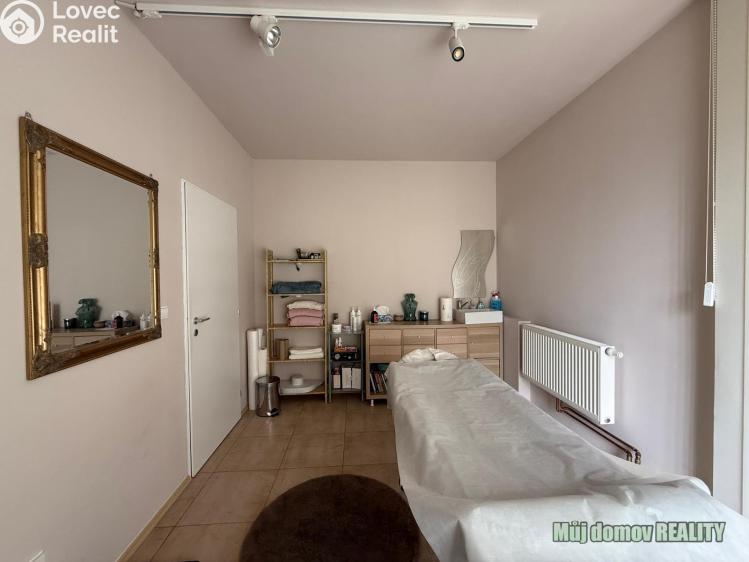 Pronájem komerční nemovitosti Praha, Devonská č. 15