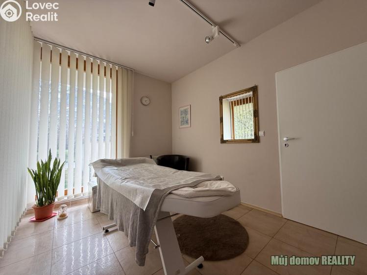 Pronájem komerční nemovitosti Praha, Devonská č. 16