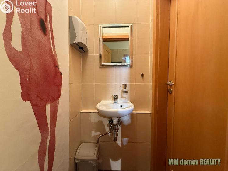 Pronájem komerční nemovitosti Praha, Devonská č. 20