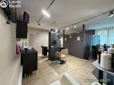 Pronájem komerční nemovitosti Praha, Devonská č. 1