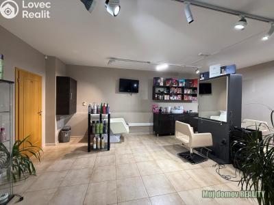 Pronájem komerční nemovitosti Praha, Devonská č. 2