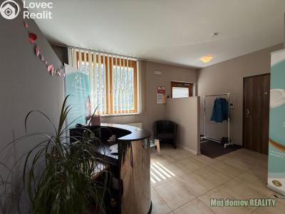 Pronájem komerční nemovitosti Praha, Devonská č. 6