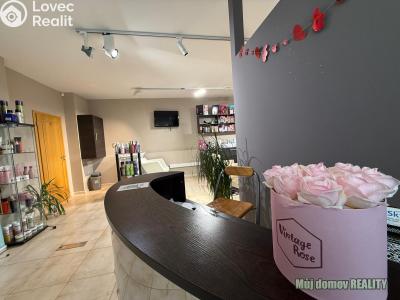 Rent commercial properties Praha, Devonská č. 7