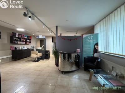 Rent commercial properties Praha, Devonská č. 8