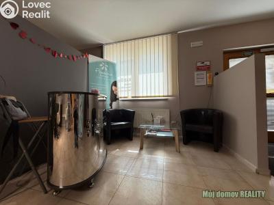Rent commercial properties Praha, Devonská č. 9