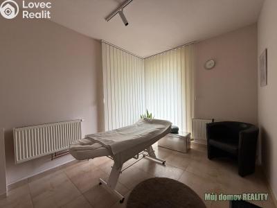 Rent commercial properties Praha, Devonská č. 14